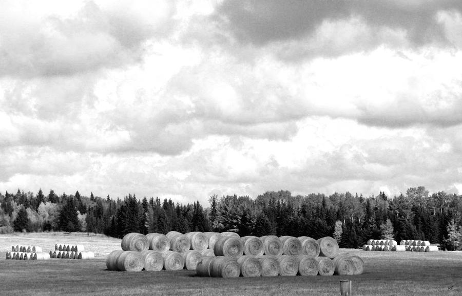 Cariboo Country Hay Bales Photograph by Will Borden