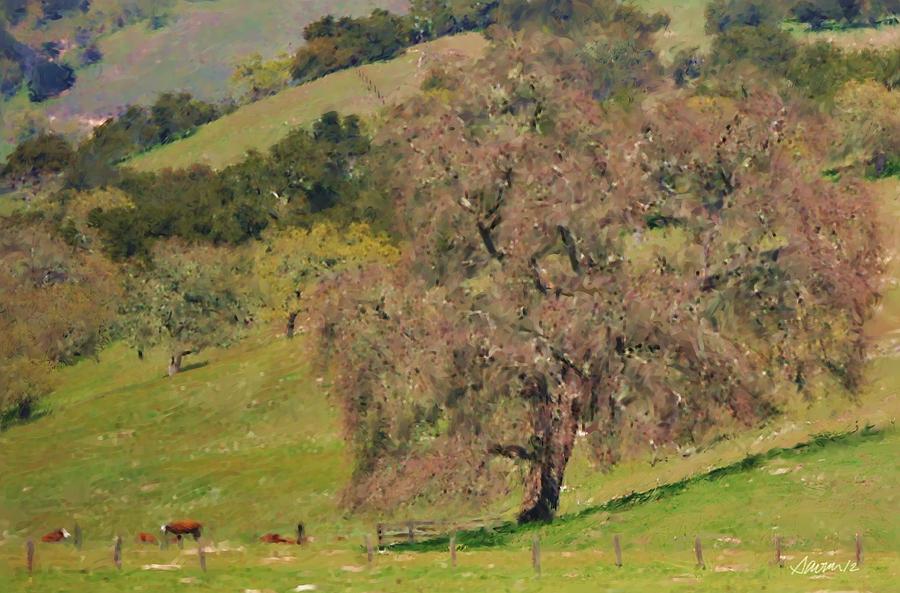 Carmel Valley Spring Two Photograph by Jim Pavelle