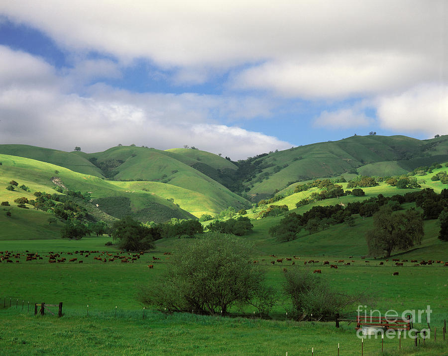 Carmel-valley-t6-3 Photograph by Craig Lovell