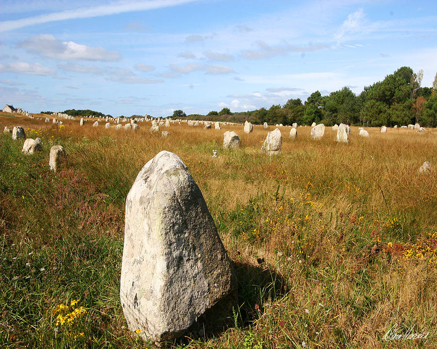 Carnac Standing Stones Photograph by Diana Haronis