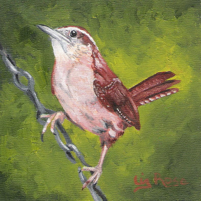 Carolina Wren Female Painting By Liz Rose Fine Art America