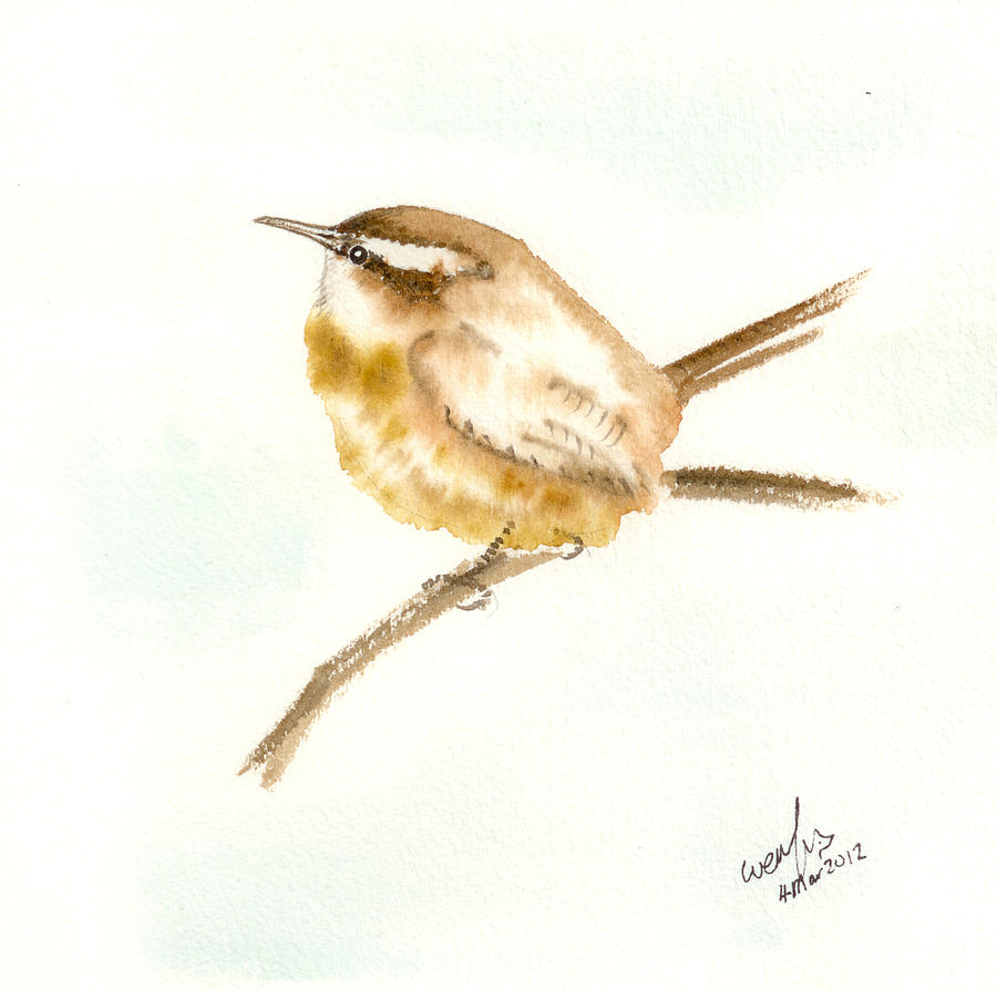 Carolina Wren Painting By Wenfei Tong Fine Art America