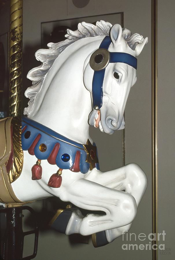 carousel animals - White Horse in Blue Harness Photograph by Sharon Hudson