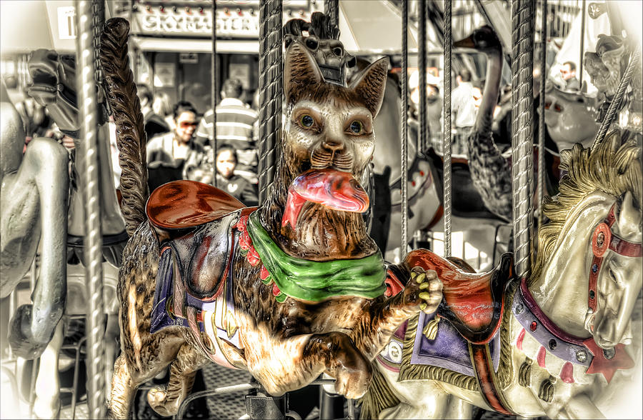 Carousel Cat Photograph by Wayne Sherriff