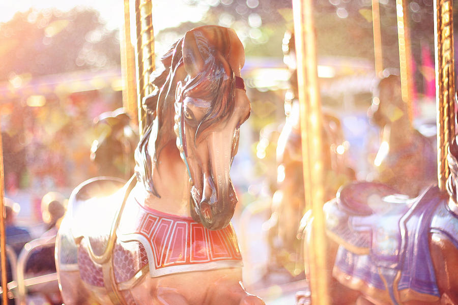 Horse Photograph - Carousel Dream by Amy Tyler