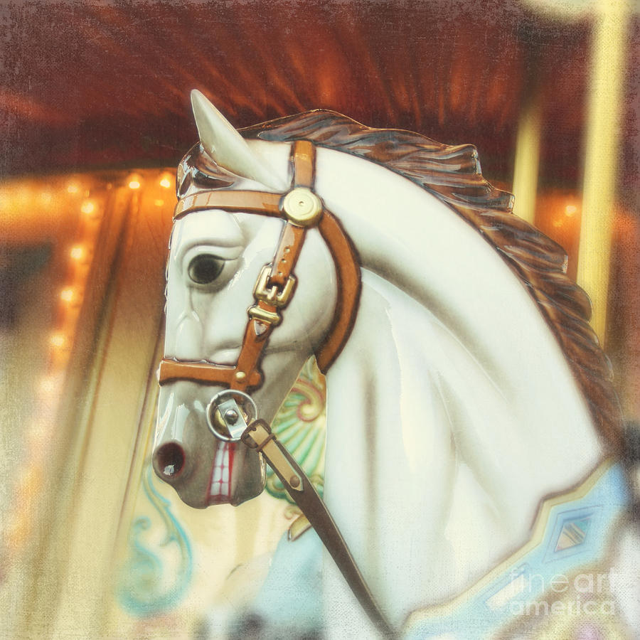 Carousel horse 1 Photograph by Sylvia Cook
