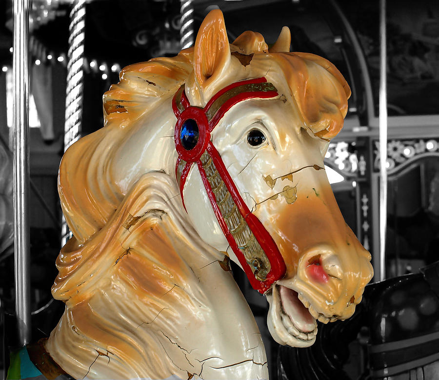 Carousel Horse 2 Photograph by Raymond Earley