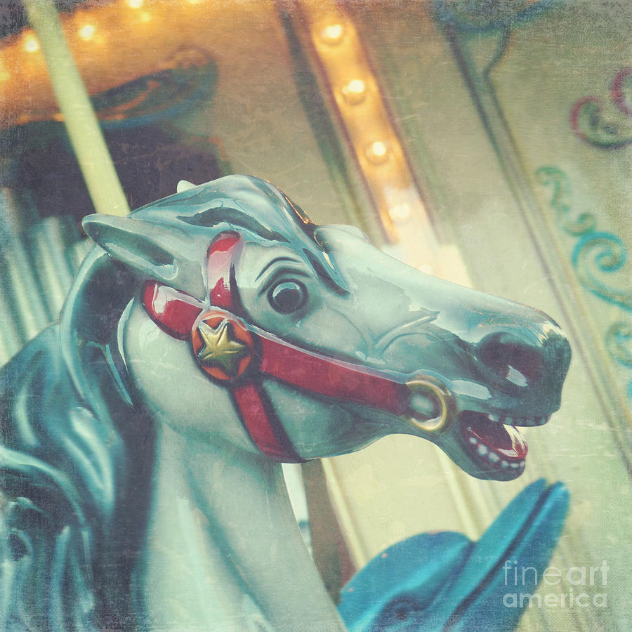 Carousel horse 2 Photograph by Sylvia Cook