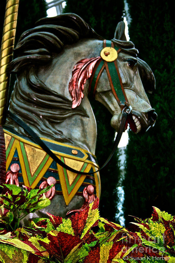 Carousel Horse Photograph by Susan Herber