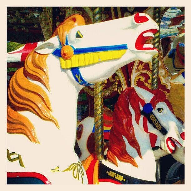 Horse Photograph - Carousel Horses by Marianne Dow