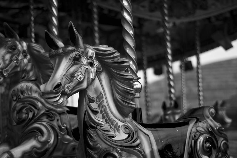 Carousel Horses Mono Photograph by Steve Purnell