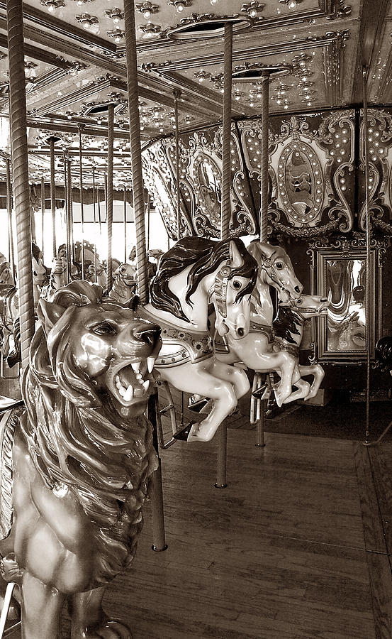 Carousel Photograph by Raymond Earley