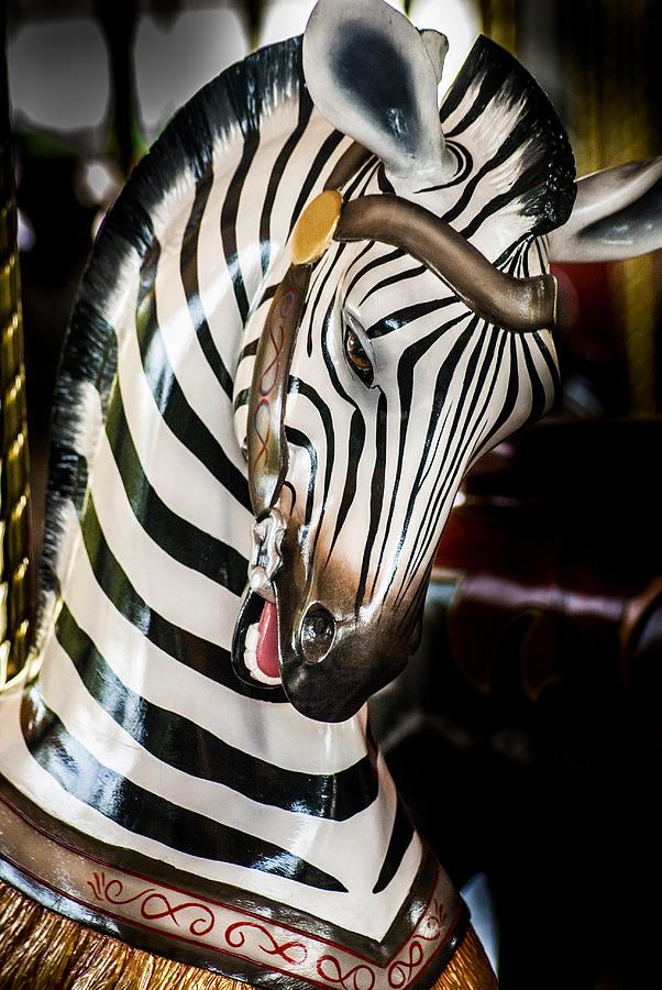 Carousel Zebra I Photograph by Roger Lapinski