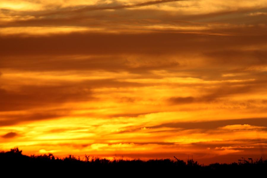Carova NC Sunset Dreams Photograph by Kim Galluzzo Wozniak