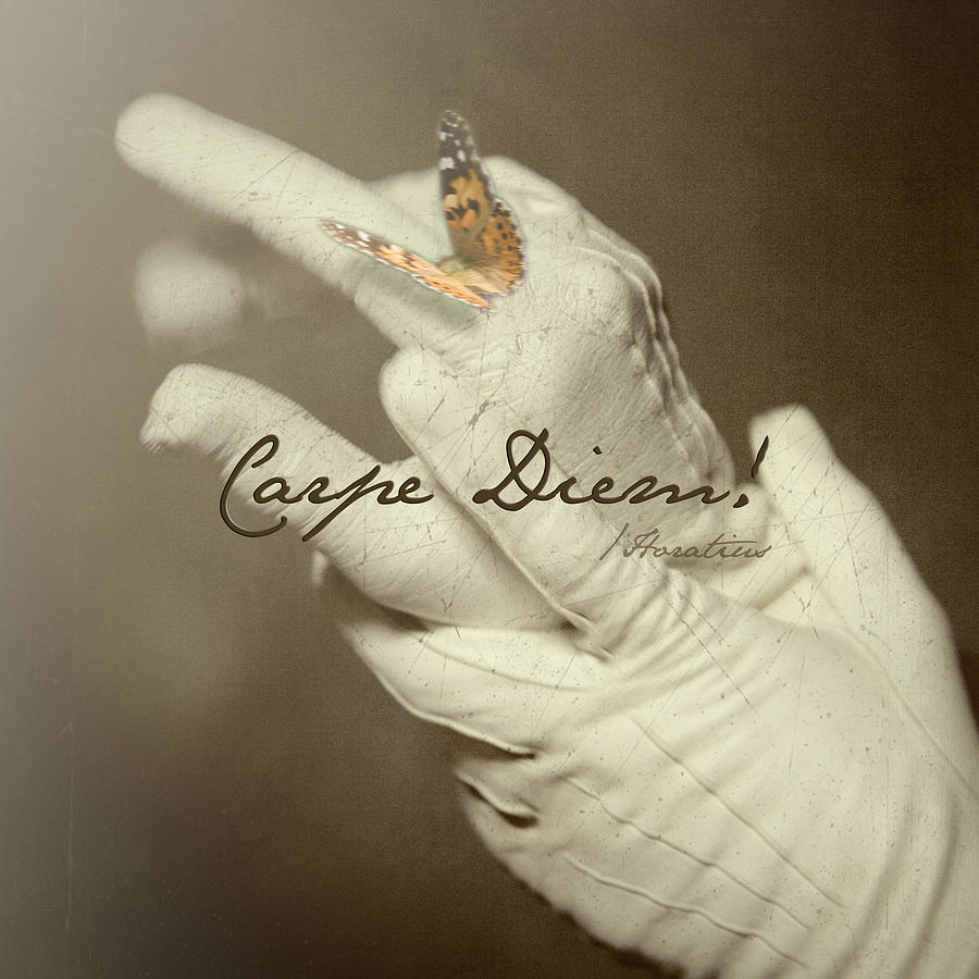 Butterfly Pyrography - Carpe Diem by Tove Jessica Frank