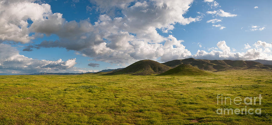Carrizo Plain National Monument Photograph by Stuart Wilson and Photo Researchers