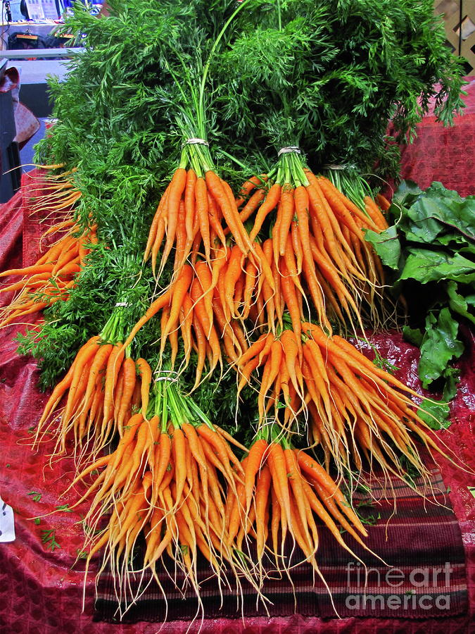 Carrot bunches Photograph by Sean Griffin