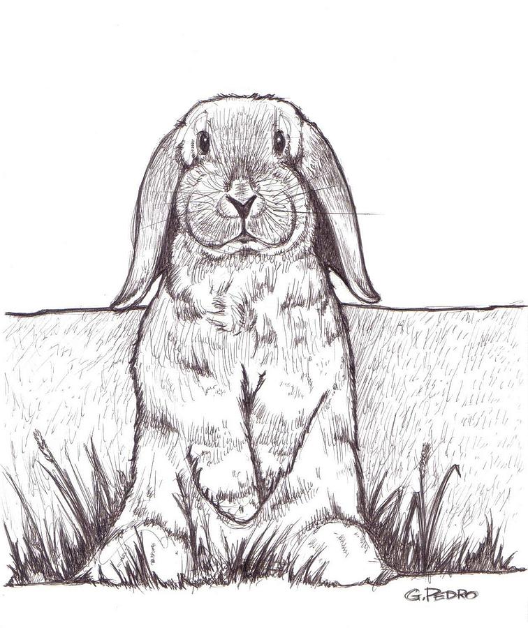 Carrot? Drawing by George Pedro