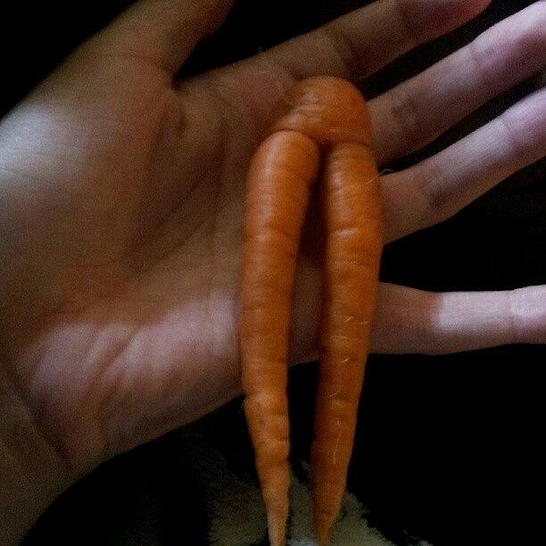 Carrot Photograph - Carrot I Found #nicelegs #carrot by Jackeline Gonzalez