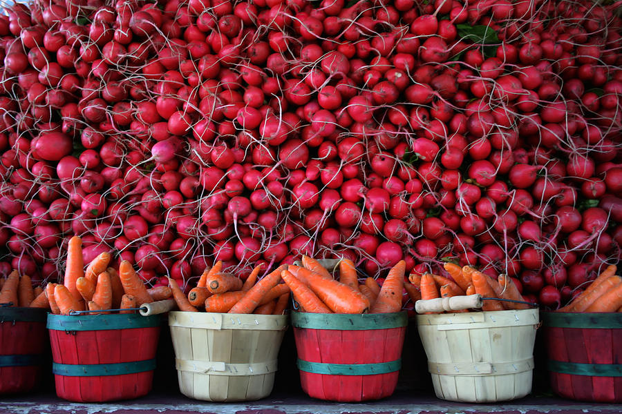 Carrots and Radishes Photograph by Richard Gregurich