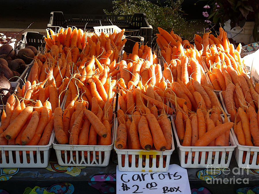 Carrots in morning light Photograph by David Bearden