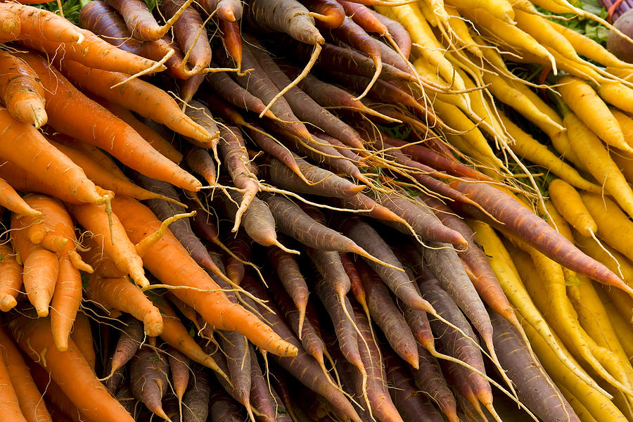 Carrots Photograph by Michael Friedman
