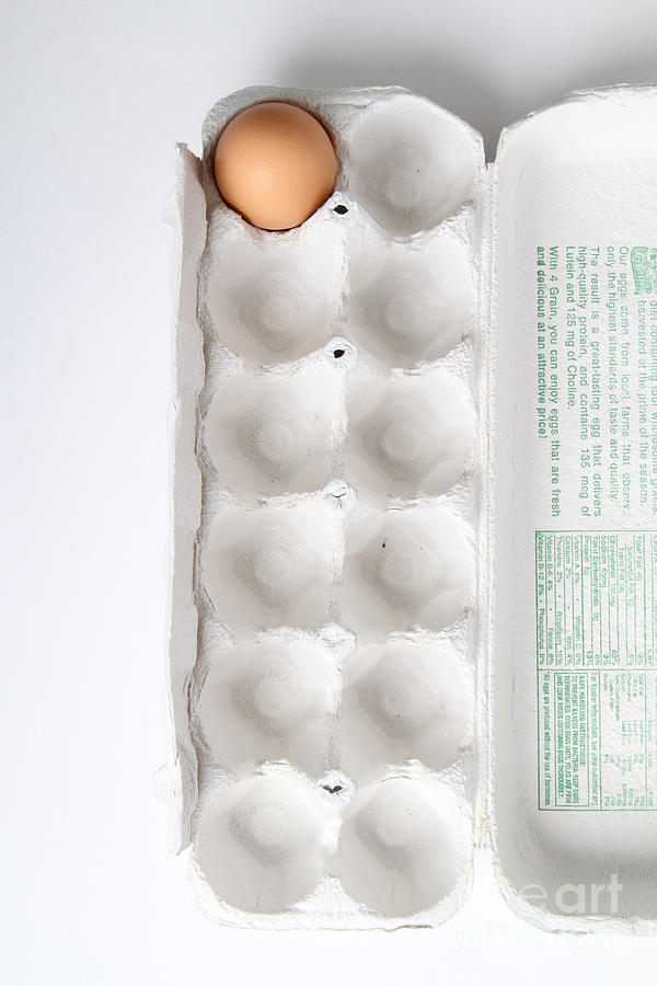 Carton Of Eggs, 12 Of 13 Photograph by Photo Researchers, Inc.