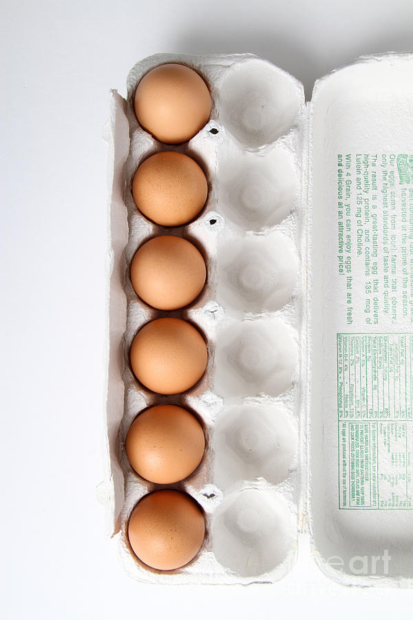 Carton Of Eggs, 7 Of 13 Photograph by Photo Researchers, Inc.