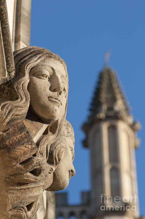 Carvings of Magdalen College Photograph by Andrew  Michael