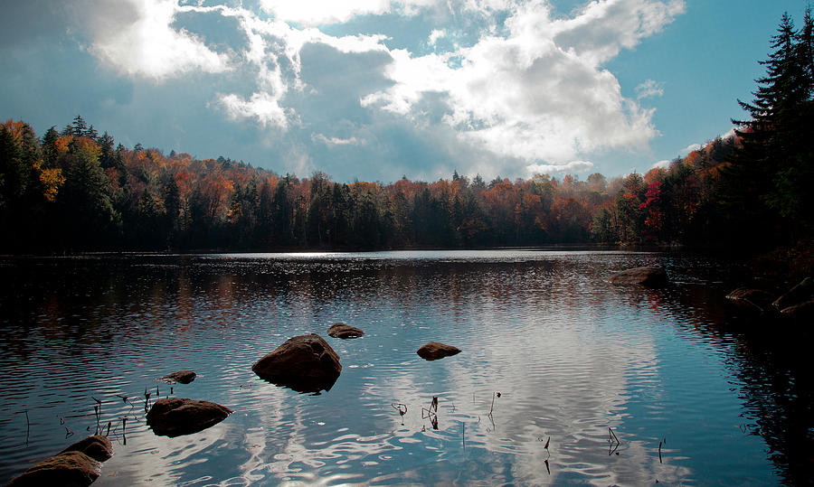Fall Photograph - Cary Lake by David Patterson