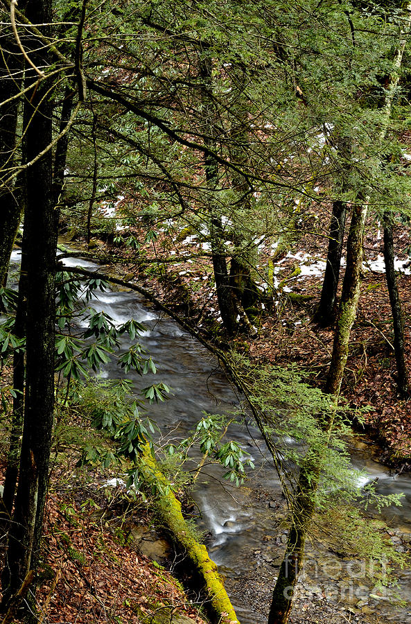 Cascade Birch River Photograph By Thomas R Fletcher Fine Art America