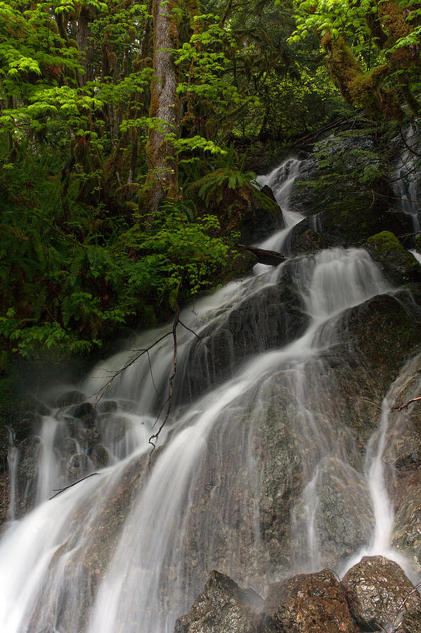 Cascade from the Sky Photograph by Mike Reid - Fine Art America