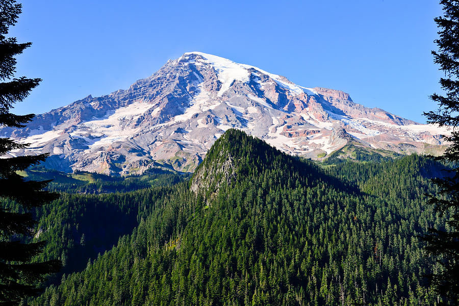 Mount Rainier National Park Photograph - Cascade Gem by Greg Norrell