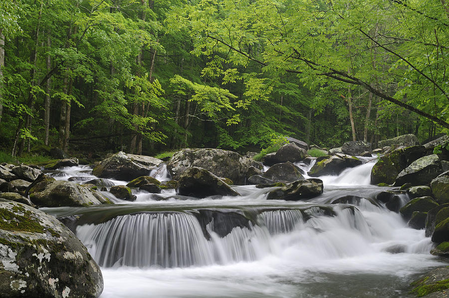 Cascade in the Ancient Smoky Mountains Photograph by Darrell Young