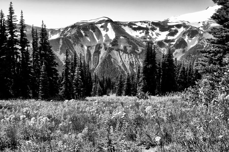 Cascade Mountain Range Photograph by David Patterson
