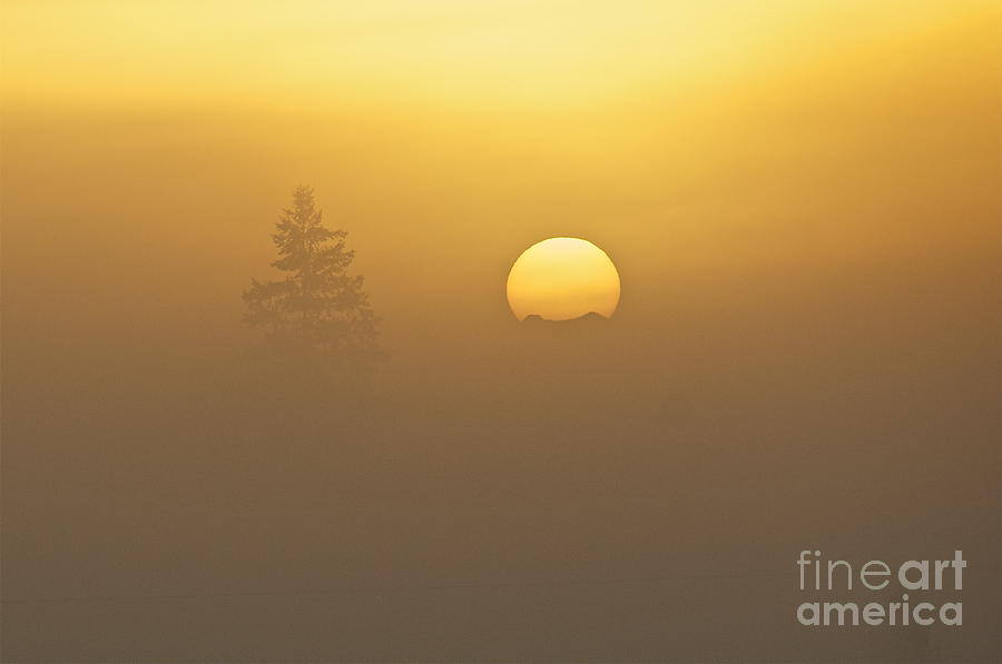 Nature Photograph - Cascade Sunrise by Sean Griffin