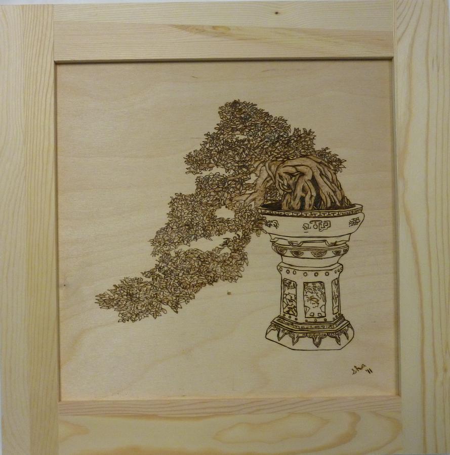 Bowl Pyrography - Cascading Bonsai Framed Pyrographic Original Wood Panel by Pigatopia by Shannon Ivins