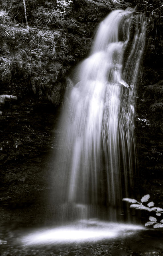 Cascading Expressions Photograph by Joseph Noonan