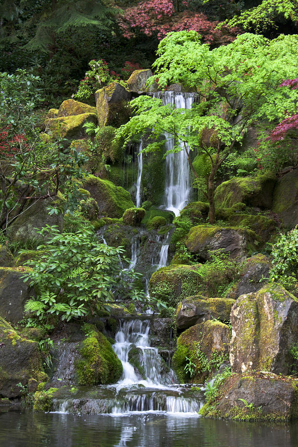 Cascading Waters Photograph
