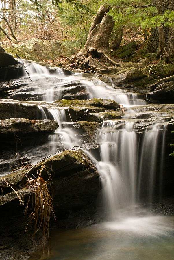 Waterfall Photograph - Cascading Watterfall Broken Leg State Park by Douglas Barnett