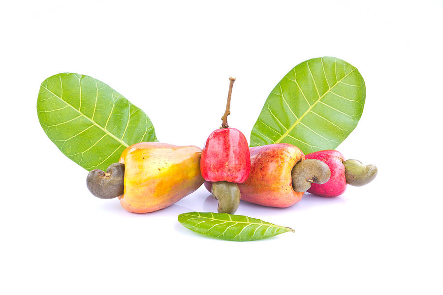 cashew apple fruit online