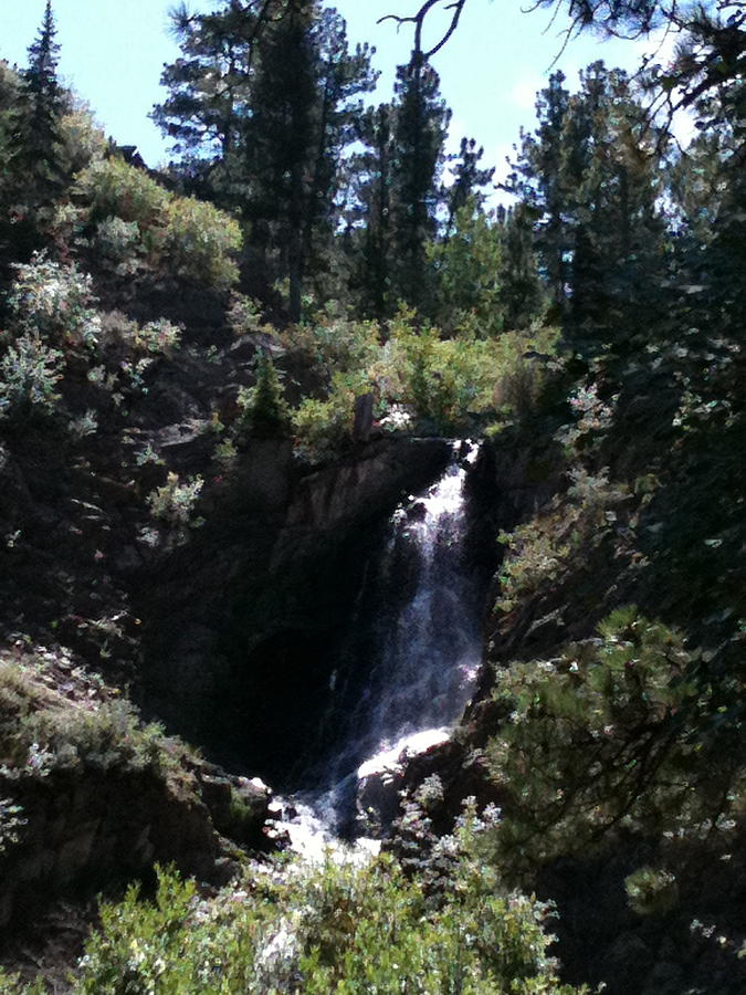 Casper Mountain Photograph by Niki Gilmore - Fine Art America