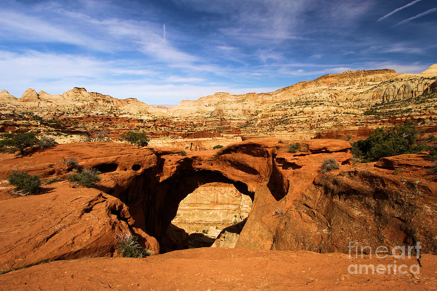 Capitol Reef National Park Photograph - Cassidy Arch by Adam Jewell