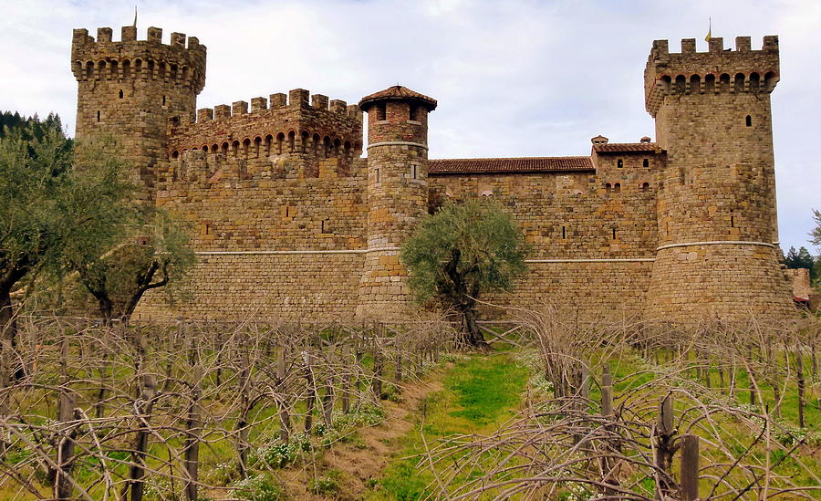 Castello di Amorosa Castle and Vines Photograph by Jeff Lowe