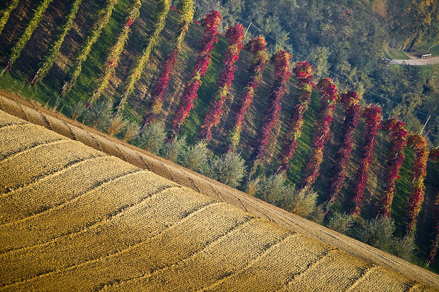 Castelvetro hills Photograph by Francesco Riccardo Iacomino
