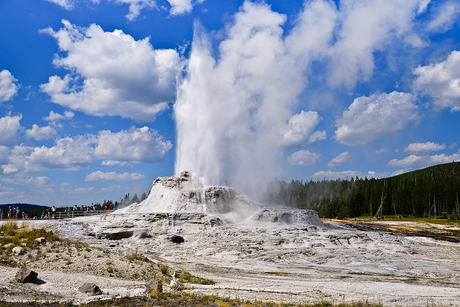 Castle Geyser Photograph by Greg Norrell