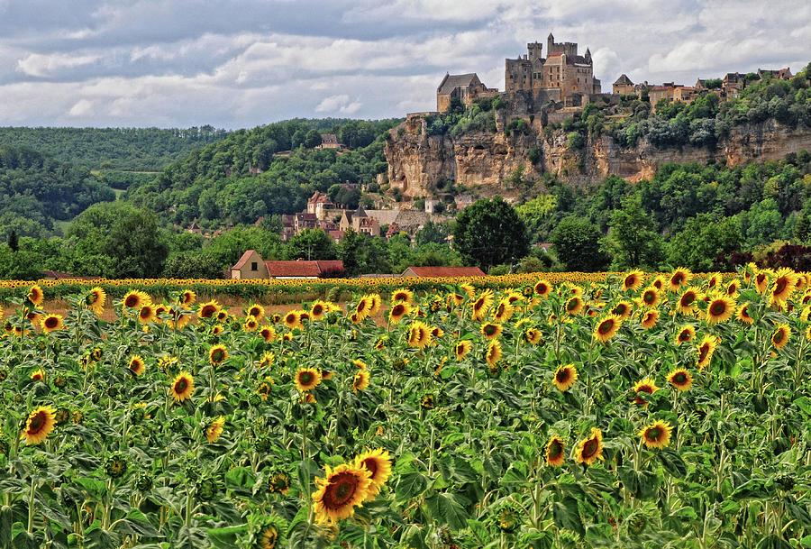 Castle in Dordogne Region France Photograph by Dave Mills