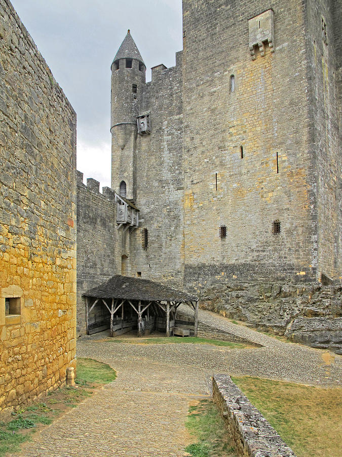 Castle Interior Ground France Photograph by Dave Mills