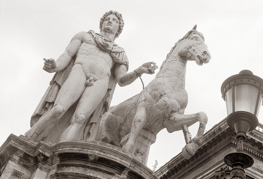 Castor Statue Dioscuri Defenders of the Republic Capitoline Hill Rome Italy Photograph by Tom Wurl