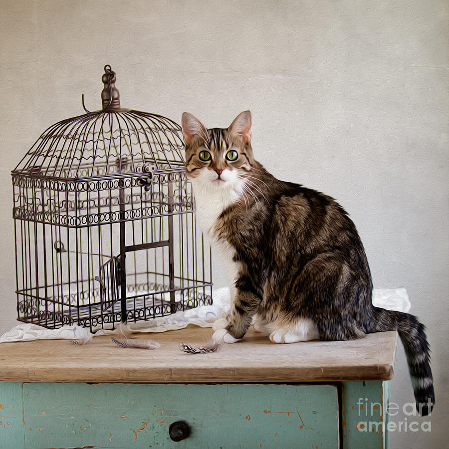 Cat Photograph - Cat and Bird by Nailia Schwarz